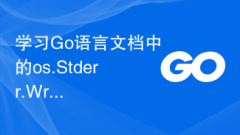 표준 오류 출력을 구현하려면 Go 언어 문서에서 os.Stderr.Write 함수를 알아보세요.