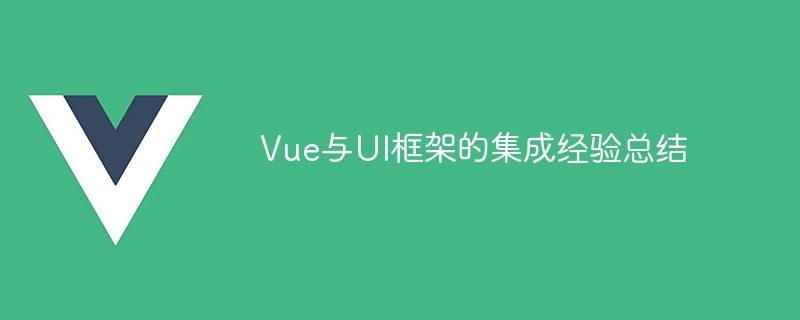 Vue와 UI 프레임워크 간의 통합 경험 요약