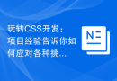 玩转CSS开发：项目经验告诉你如何应对各种挑战