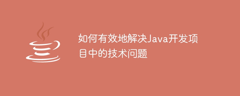 如何有效地解决Java开发项目中的技术问题