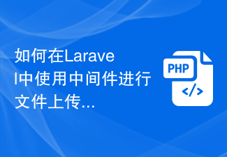 Cara menggunakan perisian tengah untuk muat naik fail dalam Laravel