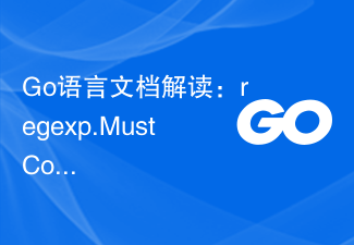 Go语言文档解读：regexp.MustCompileFunc函数详解