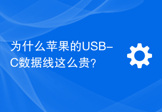 Apple의 USB-C 데이터 케이블이 왜 그렇게 비쌉니까?