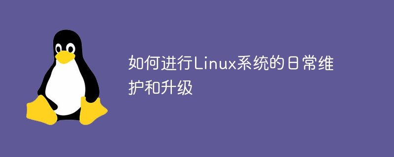 如何进行Linux系统的日常维护和升级