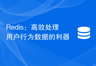 Redis: 사용자 행동 데이터를 효율적으로 처리하기 위한 강력한 도구