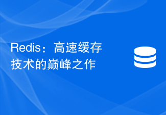 Redis：高速缓存技术的巅峰之作