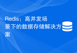 Redis：高并发场景下的数据存储解决方案