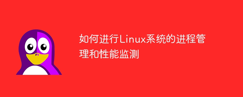 Linux 시스템에서 프로세스 관리 및 성능 모니터링을 수행하는 방법