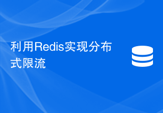 Redis を使用して分散型電流制限を実装する