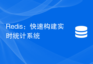 Redis：快速构建实时统计系统