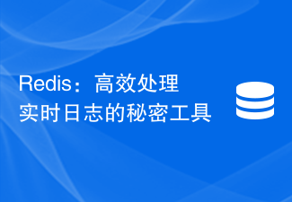 Redis：高效處理即時日誌的秘密工具