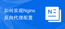So implementieren Sie die Nginx-Reverse-Proxy-Konfiguration