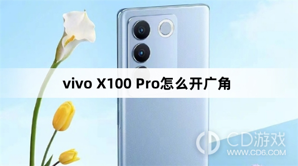 vivo X100 Pro开广角方法?vivo X100 Pro怎么开广角