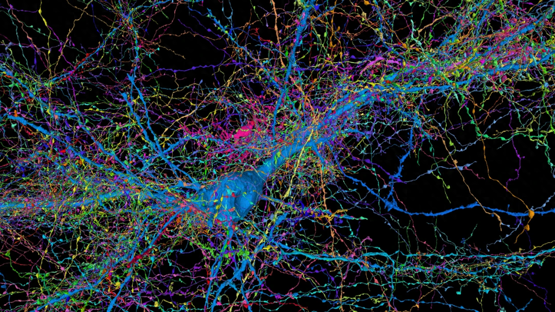 谷歌科学家 Nature 评论：人工智能如何更好地理解大脑