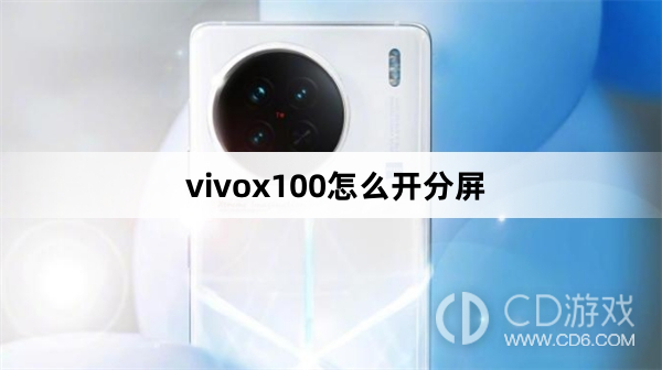 vivox100 で分割画面を有効にする方法 vivox100 で分割画面を有効にする方法