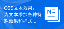 CSS 텍스트 효과: 텍스트에 다양한 특수 효과 및 스타일 추가