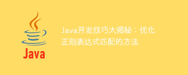 Java开发技巧大揭秘：优化正则表达式匹配的方法