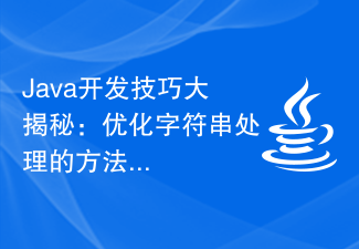 Java開發技巧大揭秘：優化字串處理的方法