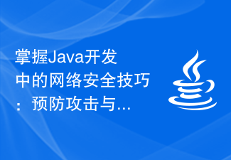 Java 개발의 네트워크 보안 기술 마스터: 공격 및 취약성 방지