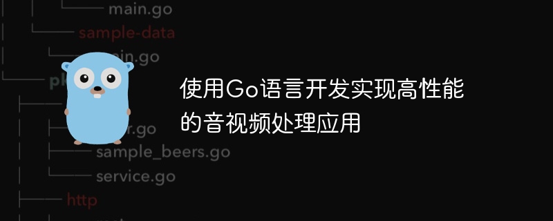 Go 언어를 사용하여 고성능 오디오 및 비디오 처리 애플리케이션 개발 및 구현