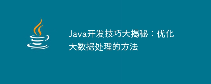 Java开发技巧大揭秘：优化大数据处理的方法
