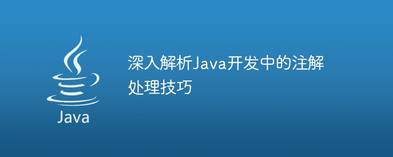 深入解析Java开发中的注解处理技巧