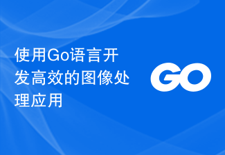 使用Go語言開發高效率的影像處理應用