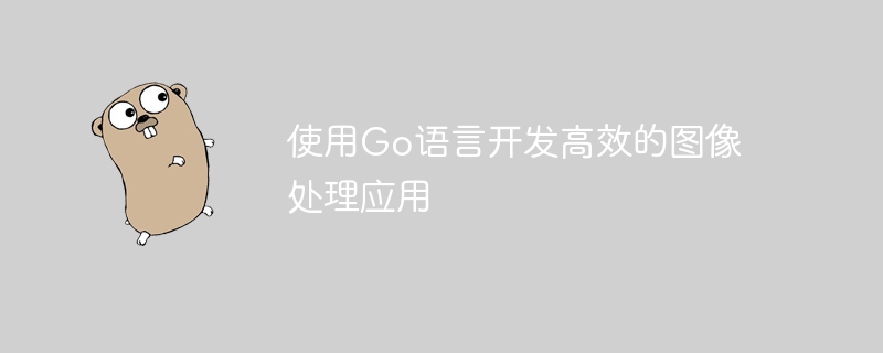 Go 言語を使用して効率的な画像処理アプリケーションを開発する