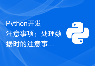 Python開發注意事項：處理資料時的注意事項與技巧