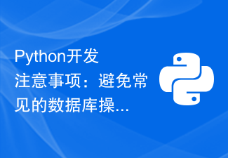 Python 開発ノート: 一般的なデータベース操作の問題を回避する