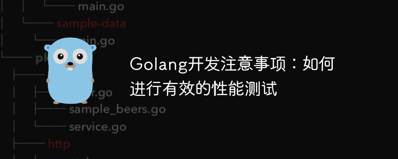 Golang开发注意事项：如何进行有效的性能测试