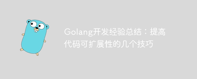 Golang开发经验总结：提高代码可扩展性的几个技巧