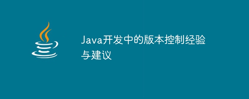 Java 開発におけるバージョン管理の経験と提案