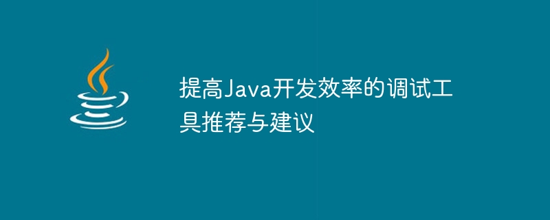 Java 개발 효율성을 향상시키기 위한 디버깅 도구에 대한 권장 사항 및 제안