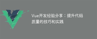 Vue開發經驗分享:提升程式碼品質的技巧與實踐