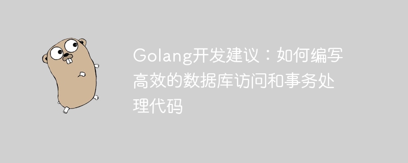 Golang 開発のアドバイス: 効率的なデータベース アクセスとトランザクション処理コードの書き方