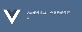 Vue 컴포넌트 실습: 분할선 컴포넌트 개발