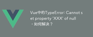 Vue中的TypeError: Cannot set property 'XXX' of null,如何解决?