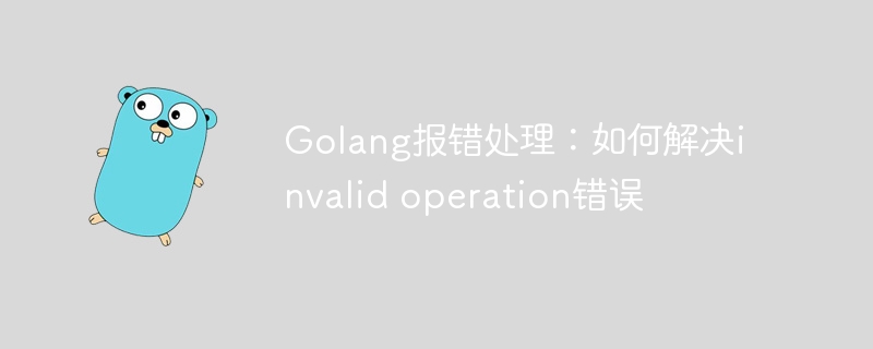 Golang报错处理：如何解决invalid operation错误