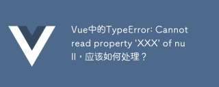 Vue中的TypeError: Cannot read property \'XXX\' of null,应该如何处理?