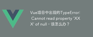 Vue项目中出现的TypeError: Cannot read property \'XXX\' of null,该怎么办?