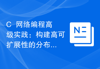 Advanced Practice of C++ Network Programming: Building Highly Scalable Distributed Systems