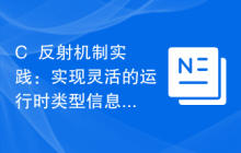 C++反射机制实践:实现灵活的运行时类型信息