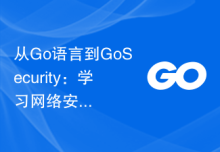 从Go语言到GoSecurity：学习网络安全的实践