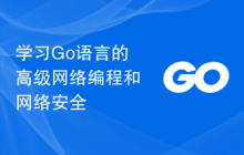 学习Go语言的高级网络编程和网络安全