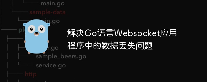 Go 언어 Websocket 애플리케이션의 데이터 손실 문제 해결