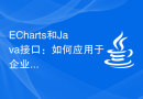 ECharts和Java接口：如何应用于企业级统计分析系统