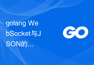 Combinaison de golang WebSocket et JSON : réalisation de la transmission et de l'analyse des données