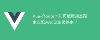 Vue-Router: 如何使用动态路由匹配来实现高级路由?