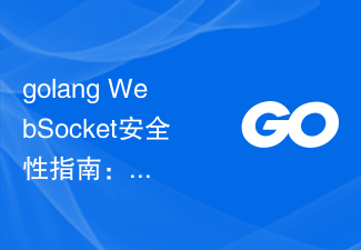 Golang WebSocket 보안 가이드: 공격으로부터 애플리케이션을 보호하세요